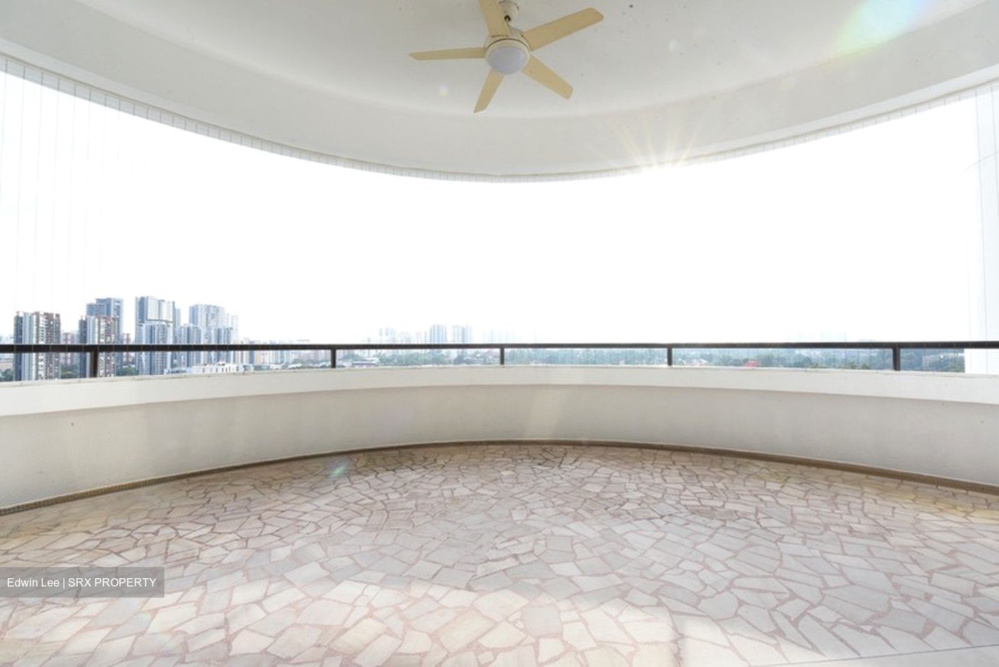 Regency Park (D10), Condominium #593017511